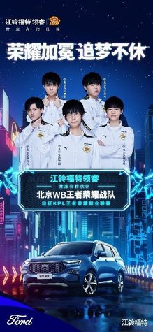 化的策略